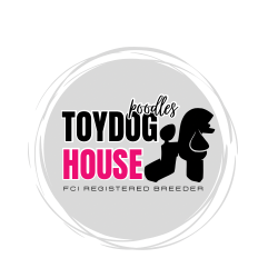 TOYDOGHOUSE - 14