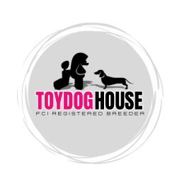 TOYDOGHOUSE - 16 (1)